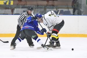 orli vm   