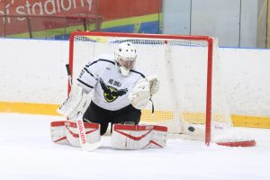 orli vm   