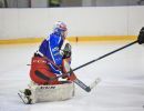 orli vm   