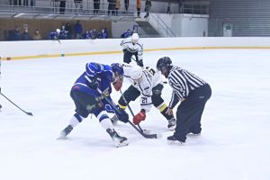 orli vm   
