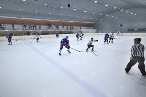orli vm   